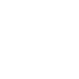 Assets/Images/Entites/Enemies/LaserBeam/LaserBeam_1.png